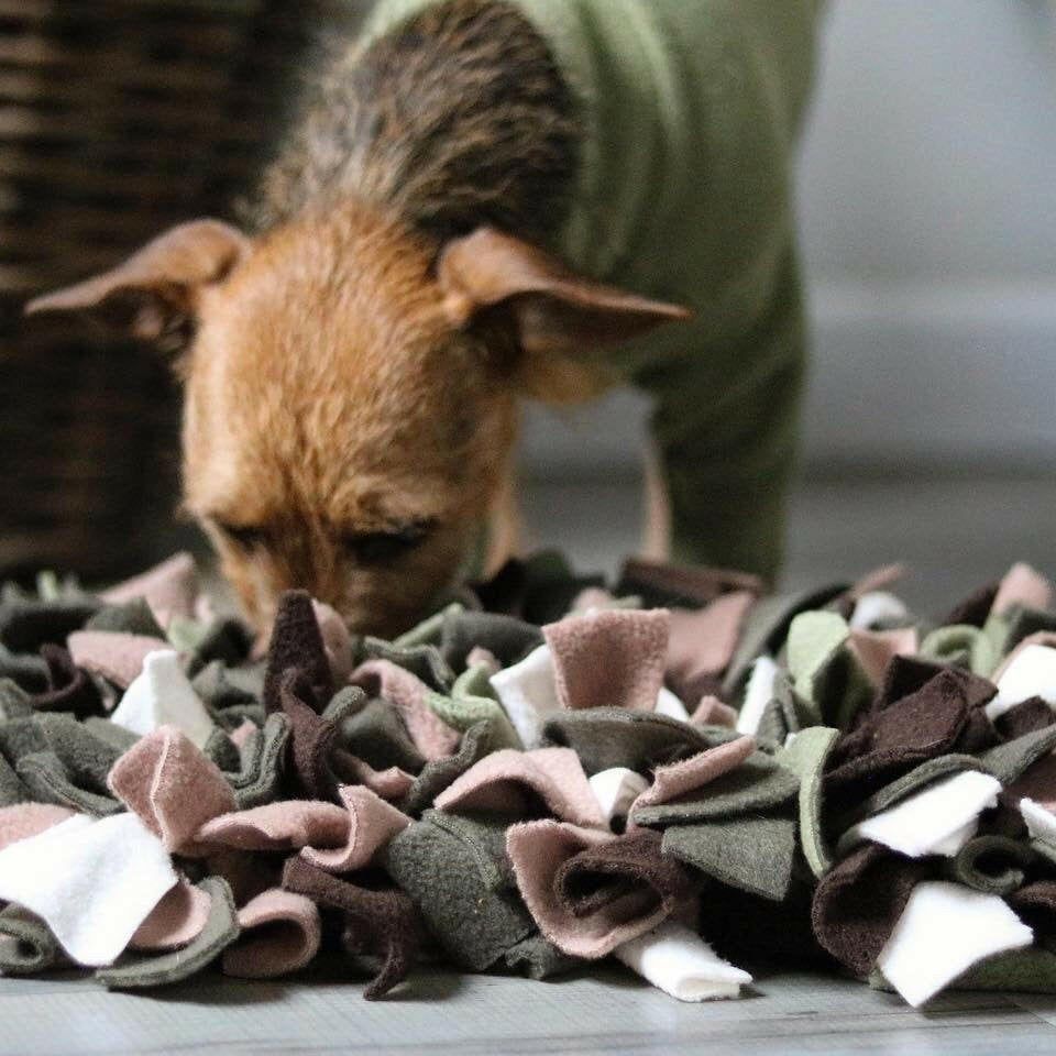 Snuffle Mats - Hugo and Ted
