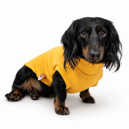 Soft Dog Sweatshirt - Made to Measure - Hugo and Ted