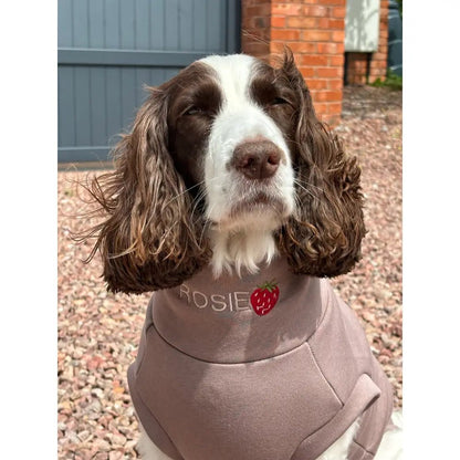 Soft Dog Sweatshirt - Made to Measure - Hugo and Ted
