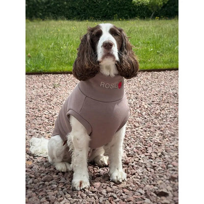 Soft Dog Sweatshirt - Made to Measure - Hugo and Ted