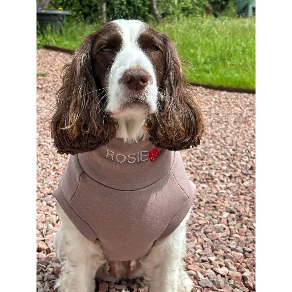 Soft Dog Sweatshirt - Made to Measure - Hugo and Ted