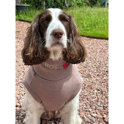 Soft Dog Sweatshirt - Made to Measure - Hugo and Ted