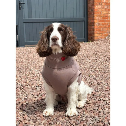 Soft Dog Sweatshirt - Made to Measure - Hugo and Ted