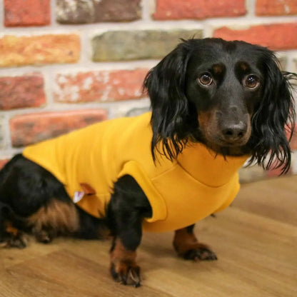Soft Dog Sweatshirt - Made to Measure - Hugo and Ted