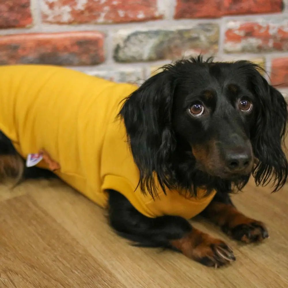 Soft Dog Sweatshirt - Made to Measure - Hugo and Ted