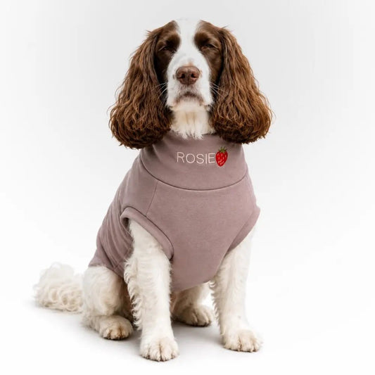 Soft Dog Sweatshirt - Made to Measure - Hugo and Ted