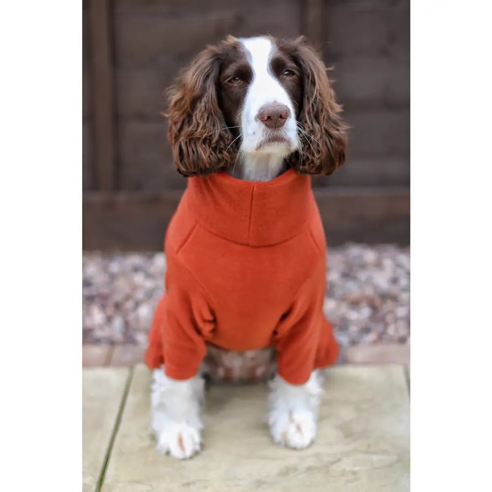 Standard Size Fleece Dog Jumpsuit - Ready to Ship - Hugo and Ted