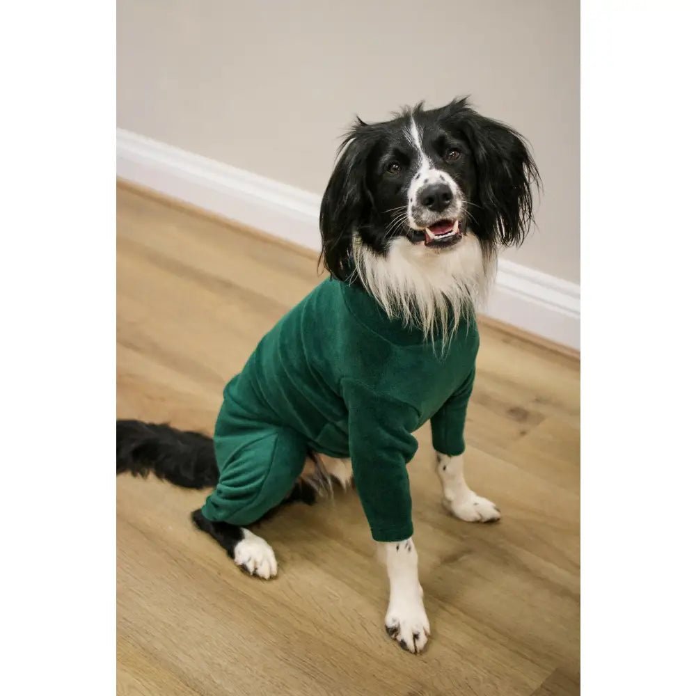 Standard Size Fleece Dog Jumpsuit - Ready to Ship - Hugo and Ted