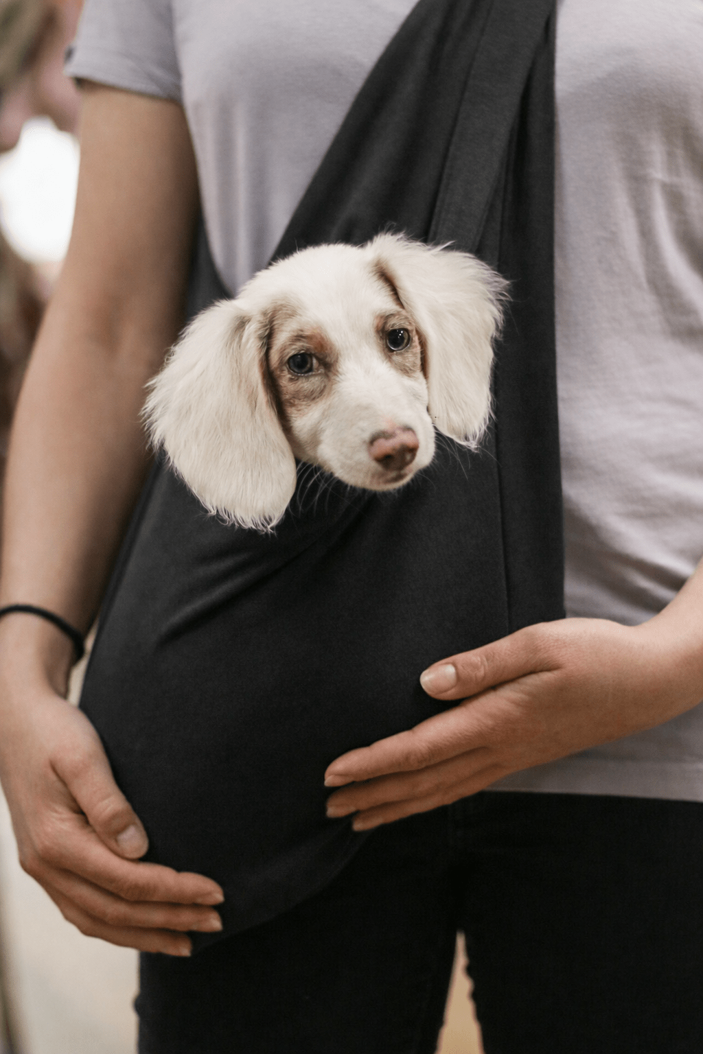 Standard Size Lite Jersey Dog Sling Carrier - Hugo and Ted