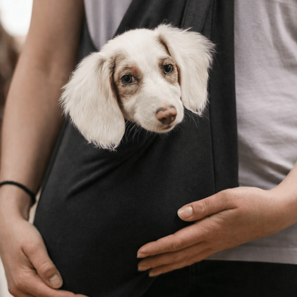 Standard Size Lite Jersey Dog Sling Carrier - Hugo and Ted