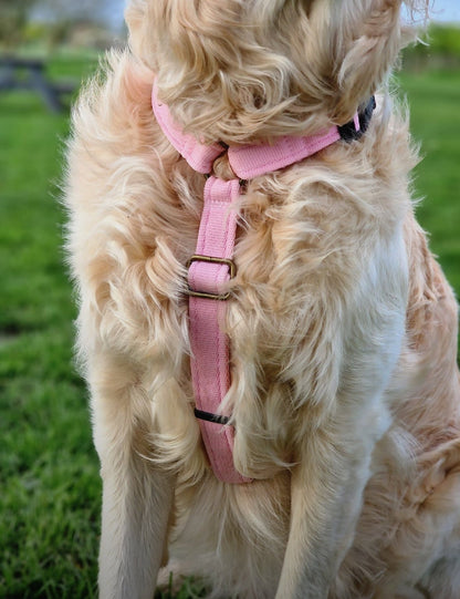 Strap Harness – Lightweight, Wipe - Clean Step - In Harness - Hugo and Ted