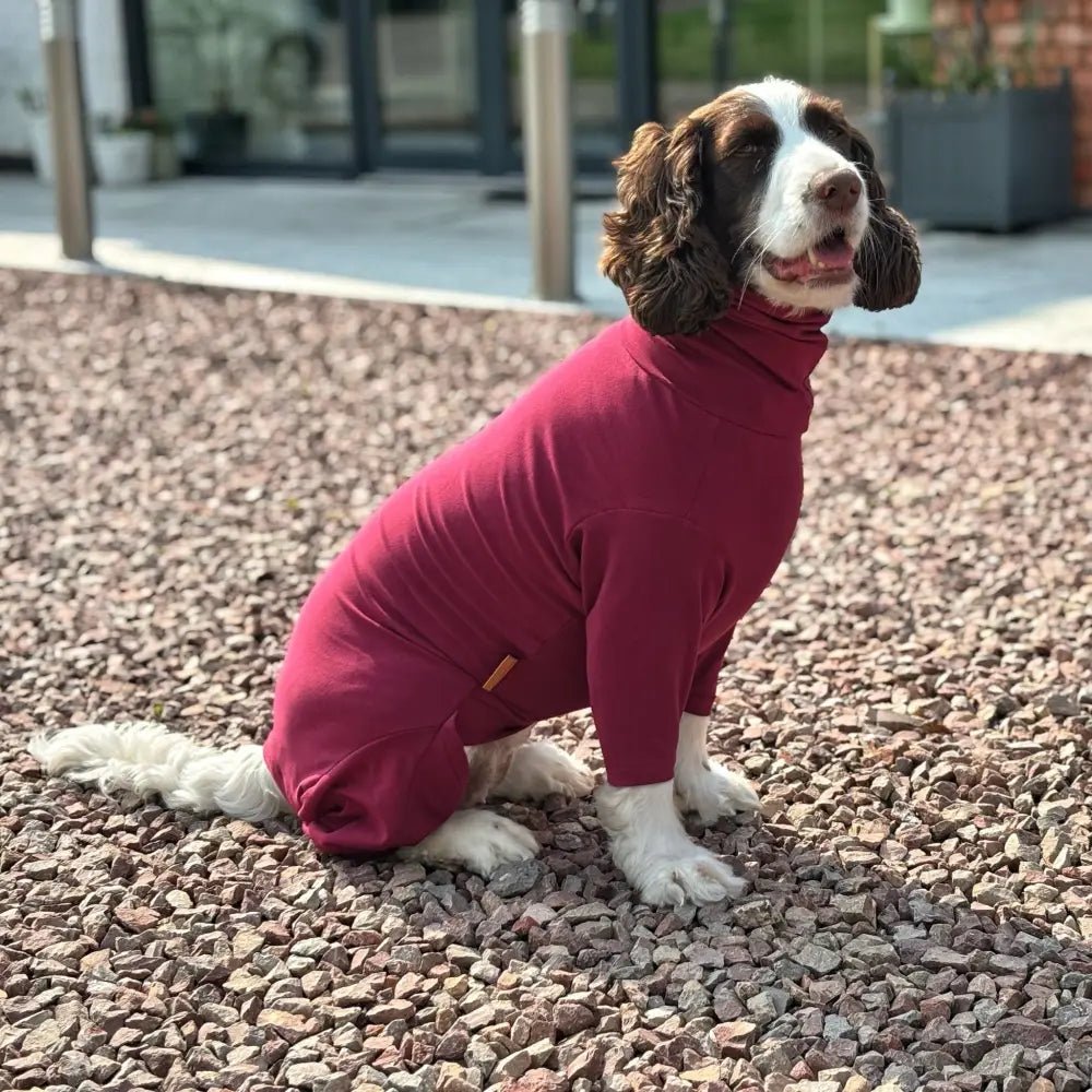 Summer Cooling & Allergy Suit - Allergy Protection for Dogs - Hugo and Ted