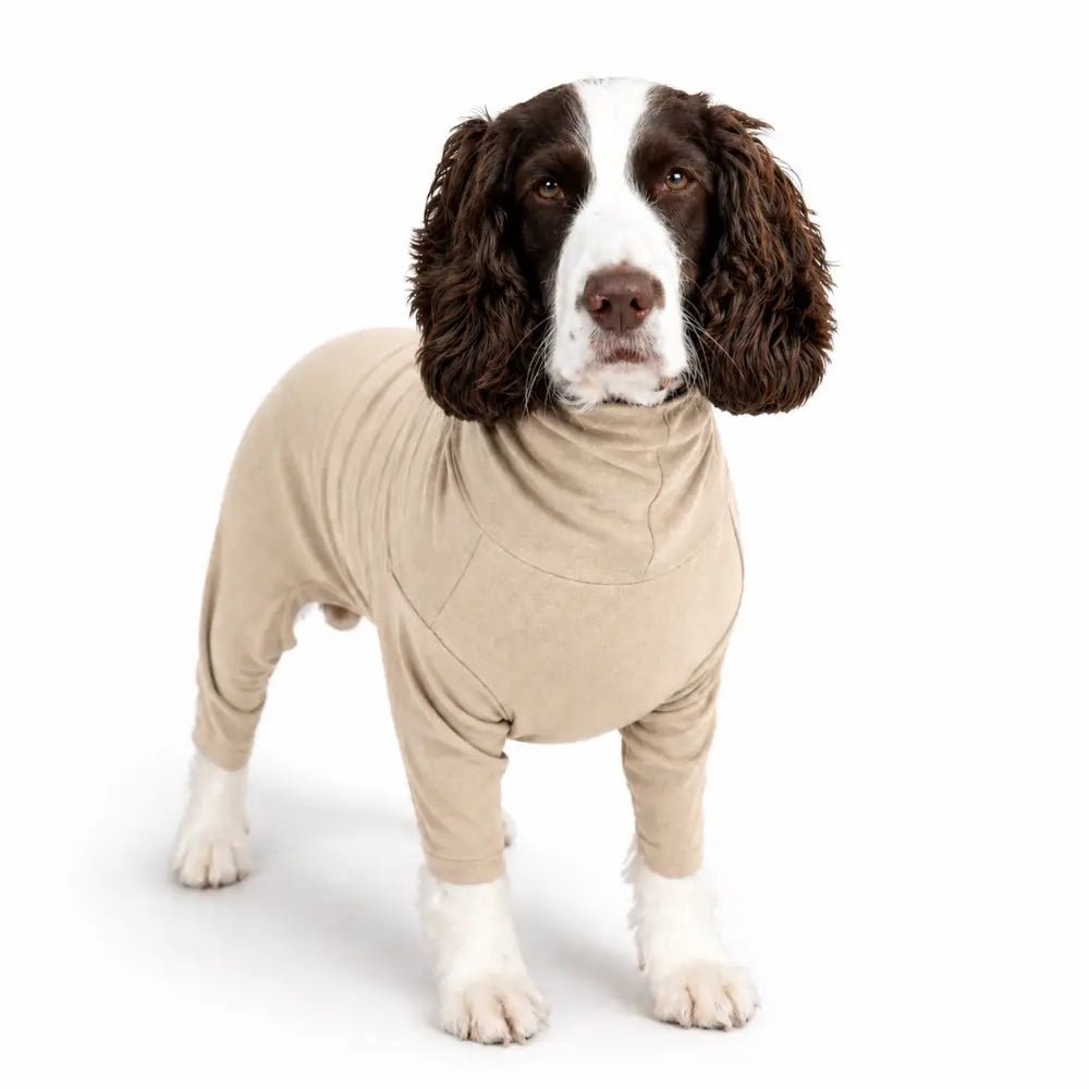 Summer Cooling & Allergy Suit - Allergy Protection for Dogs - Hugo and Ted