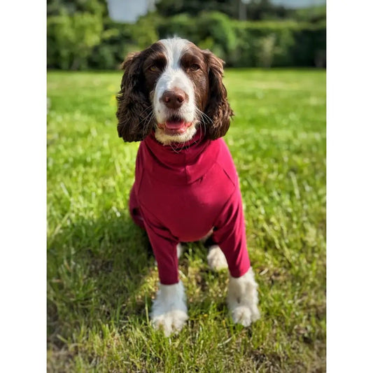 Summer Cooling & Allergy Suit - Allergy Protection for Dogs - Hugo and Ted
