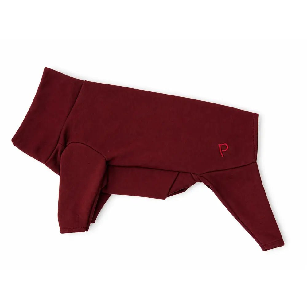 Summer Cooling & Allergy Suit - Allergy Protection for Dogs - Hugo and Ted