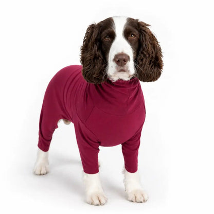 Summer Cooling & Allergy Suit - Allergy Protection for Dogs - Hugo and Ted