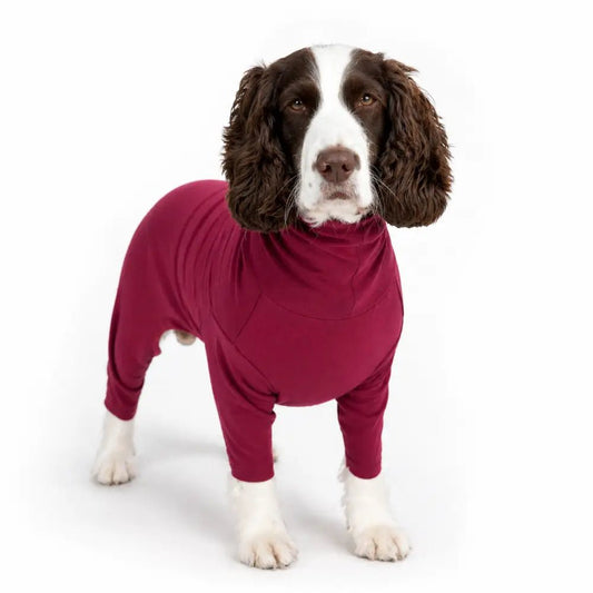 Summer Cooling & Allergy Suit - Allergy Protection for Dogs - Hugo and Ted