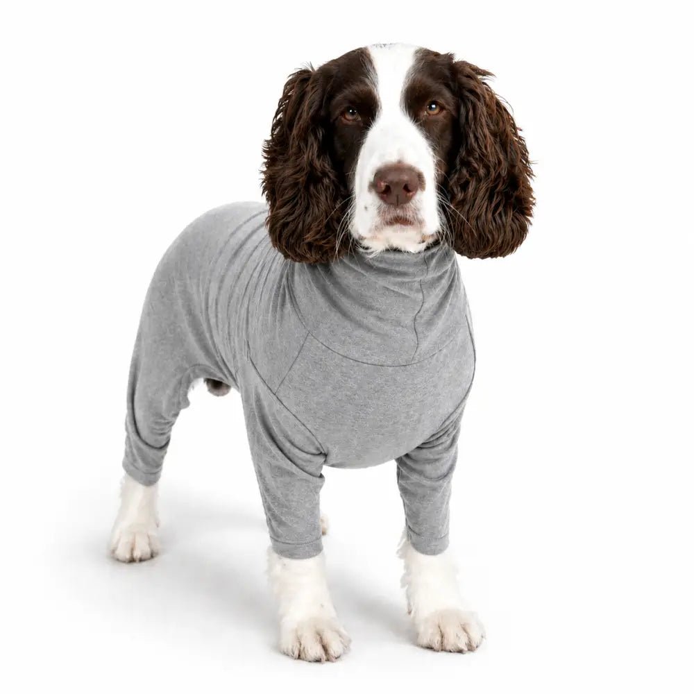 Summer Cooling & Allergy Suit - Allergy Protection for Dogs - Hugo and Ted