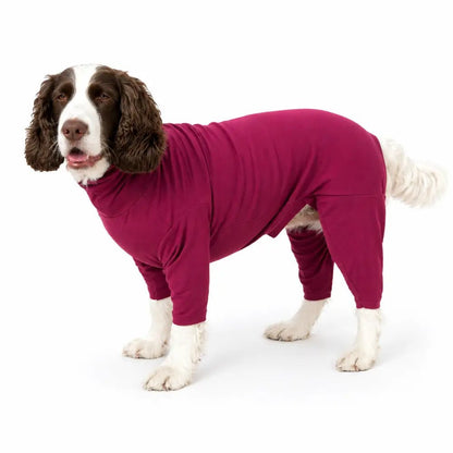Summer Cooling & Allergy Suit - Allergy Protection for Dogs - Hugo and Ted