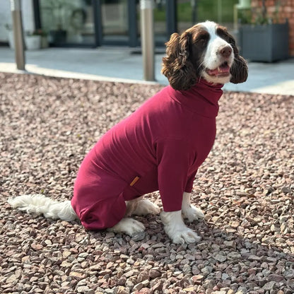 Summer Dog Suit – Lightweight, Breathable, Four - Legged Allergy Protection for Sensitive Dogs - Hugo and Ted