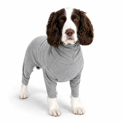 Summer Cooling & Allergy Suit - Allergy Protection for Dogs - Grey / No initial