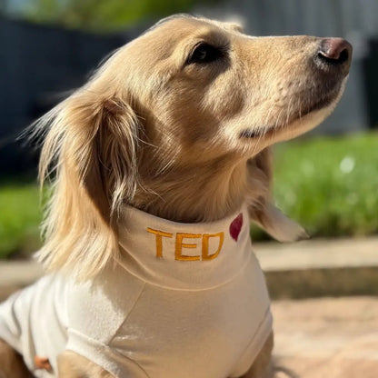 Summer Cooling & Allergy T-Shirt - Allergy Protection for Dogs - Hugo and Ted