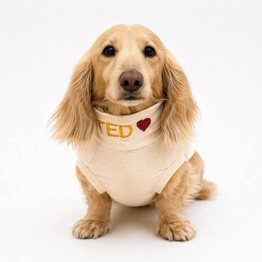 Summer Cooling & Allergy T-Shirt - Allergy Protection for Dogs - Hugo and Ted