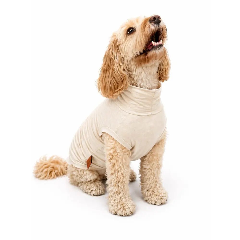 Summer Cooling & Allergy T-Shirt - Allergy Protection for Dogs - Hugo and Ted