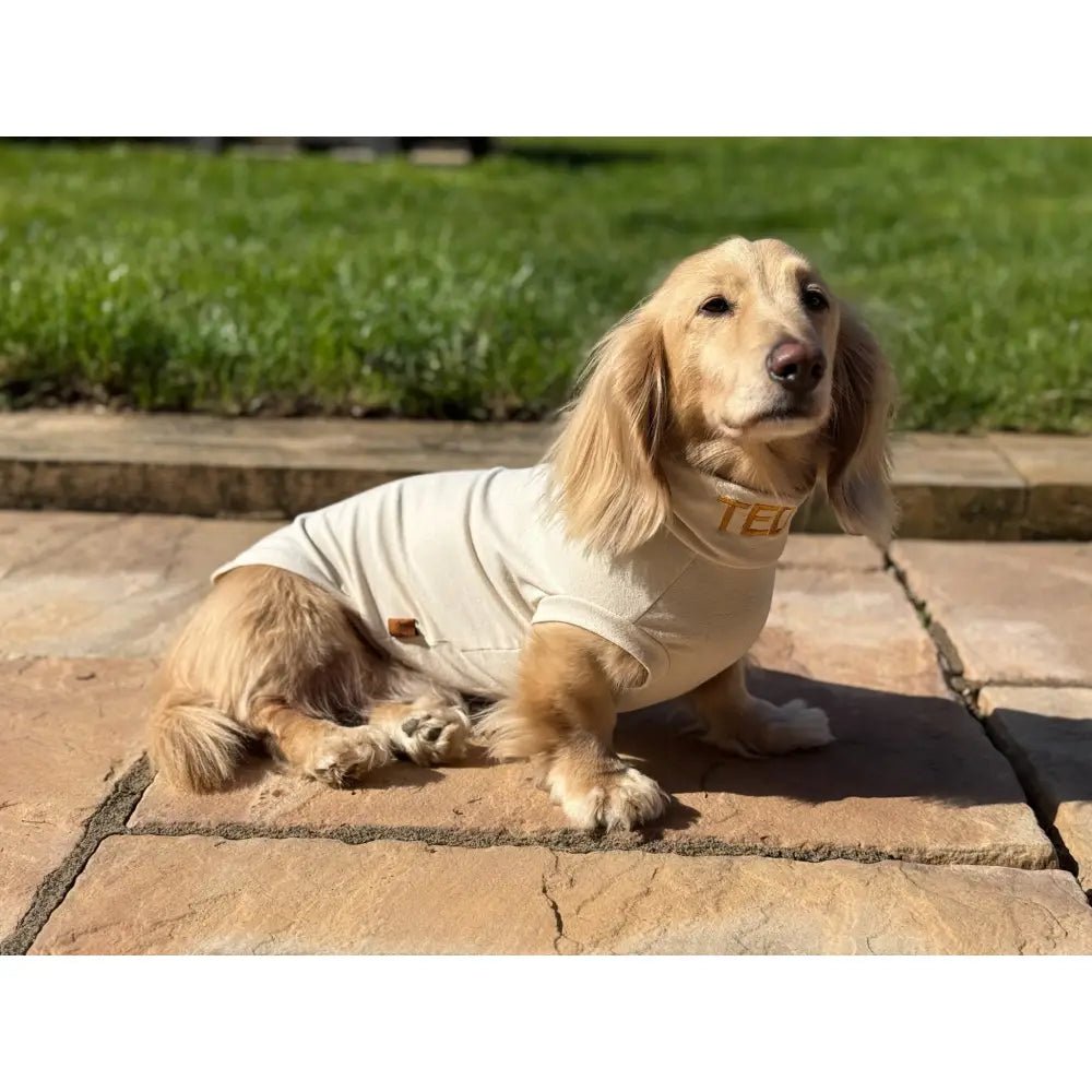 Summer Cooling & Allergy T-Shirt - Allergy Protection for Dogs - Hugo and Ted