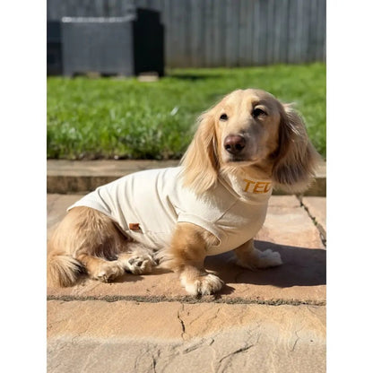 Summer Cooling & Allergy T-Shirt - Allergy Protection for Dogs - Hugo and Ted