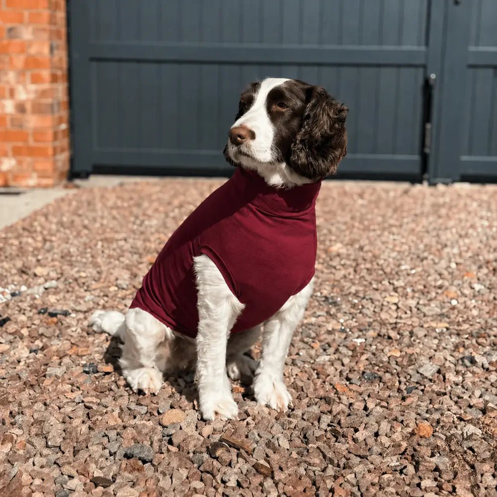 Summer Cooling & Allergy T-Shirt - Allergy Protection for Dogs - Hugo and Ted