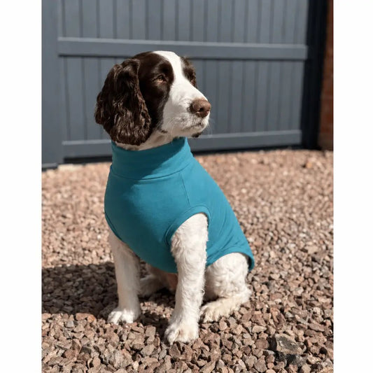 Summer Cooling & Allergy T-Shirt - Allergy Protection for Dogs - Hugo and Ted