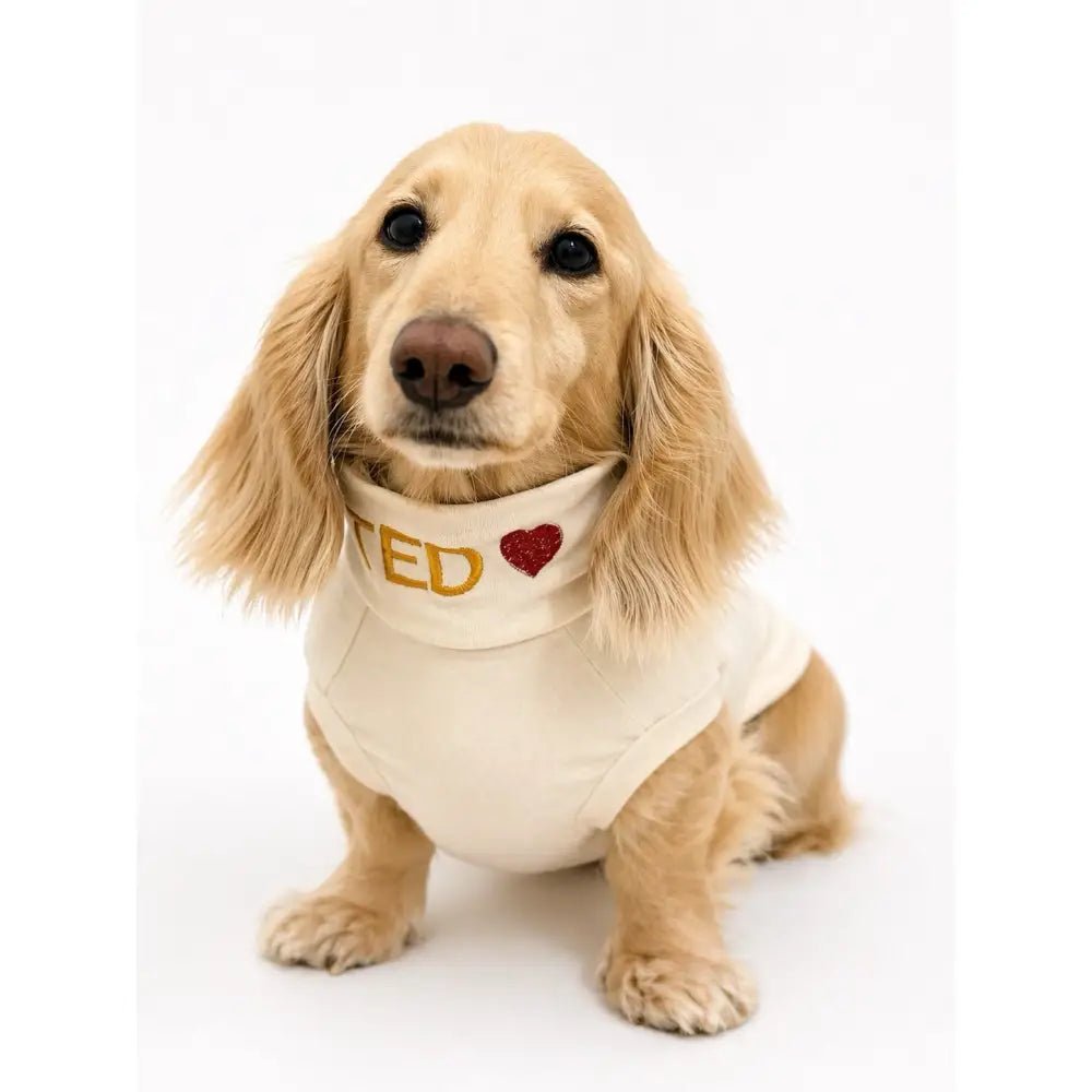 Summer Cooling & Allergy T-Shirt - Allergy Protection for Dogs - Hugo and Ted