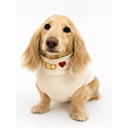 Summer Cooling & Allergy T-Shirt - Allergy Protection for Dogs - Hugo and Ted