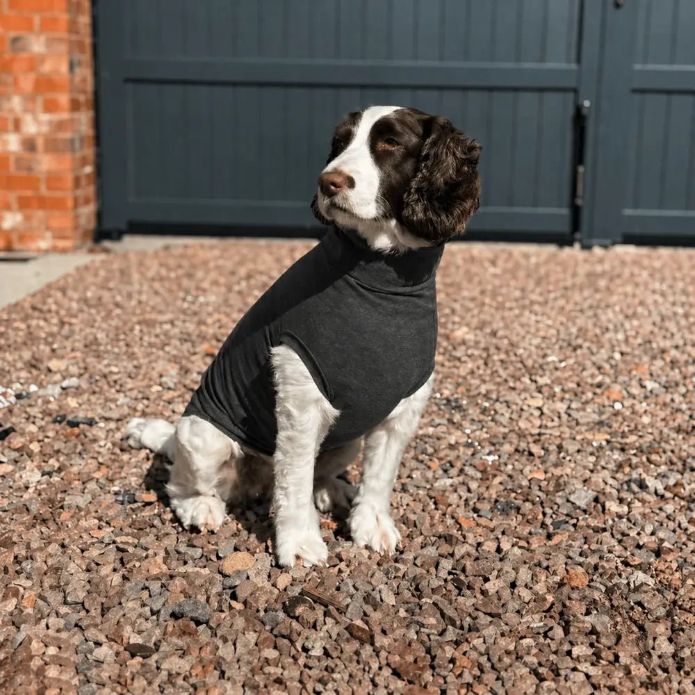Summer Cooling & Allergy T-Shirt - Allergy Protection for Dogs - Hugo and Ted