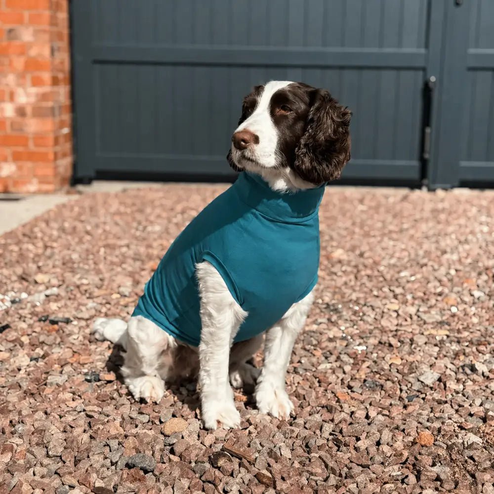 Summer Cooling & Allergy T-Shirt - Allergy Protection for Dogs - Hugo and Ted