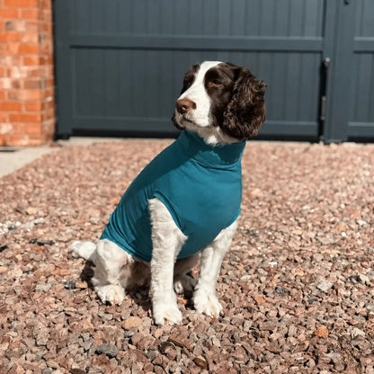 Summer Cooling & Allergy T-Shirt - Allergy Protection for Dogs - Hugo and Ted