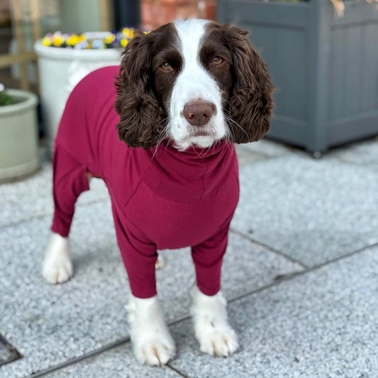 Summer Cotton Cooling/Allergy Suits - Hugo and Ted
