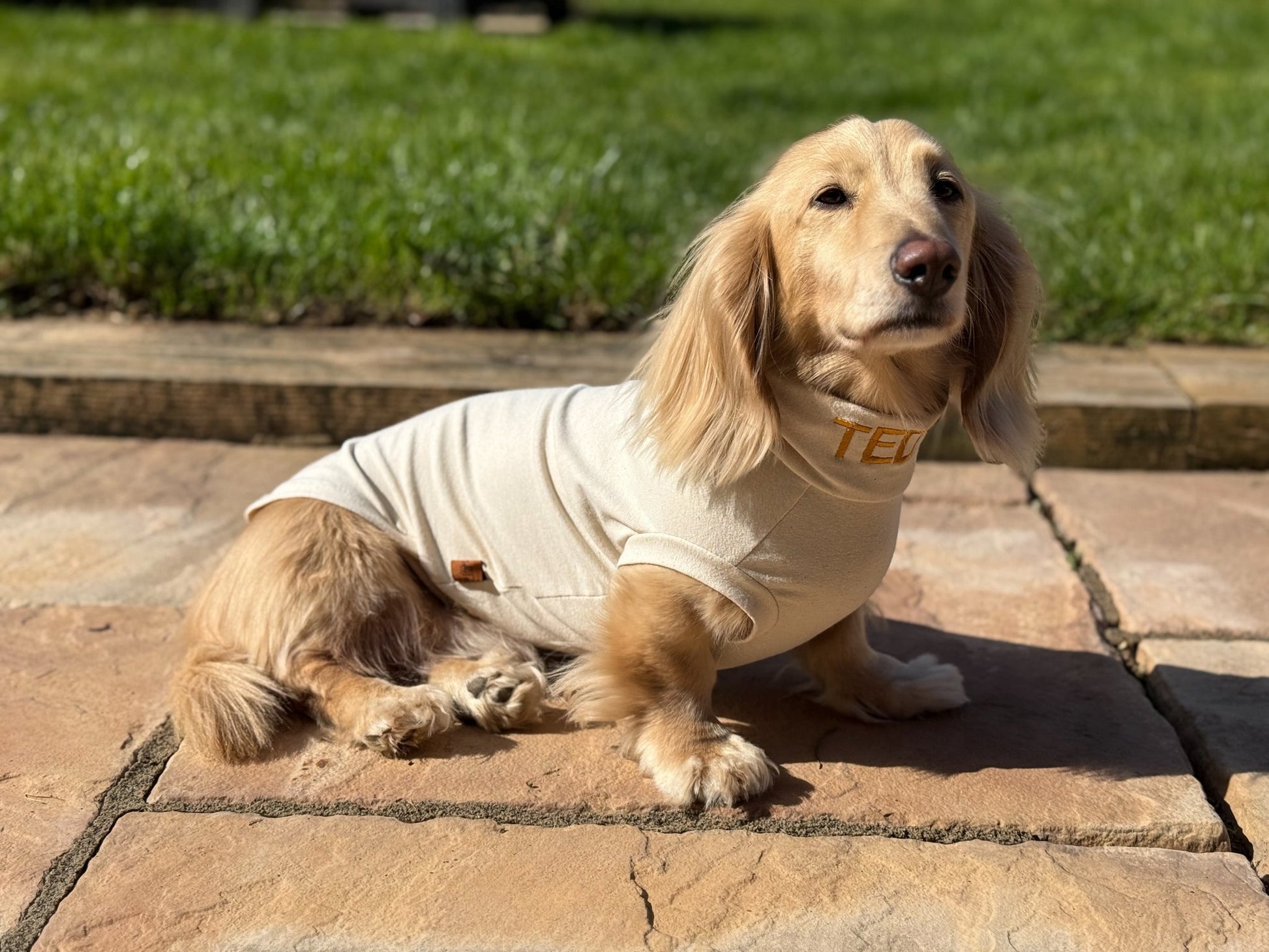 Summer Cotton Cooling/Allergy T-Shirt - Hugo and Ted