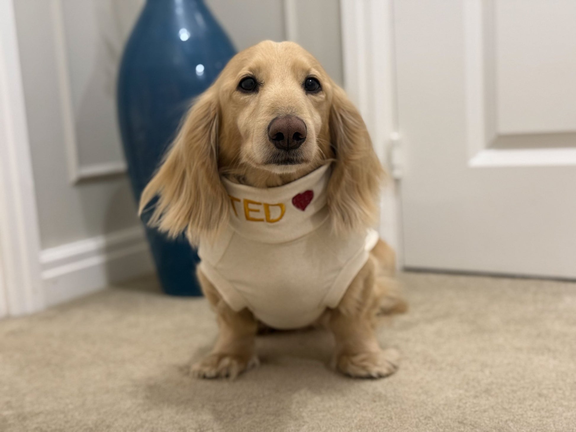Summer Cotton Cooling/Allergy T-Shirt - Hugo and Ted