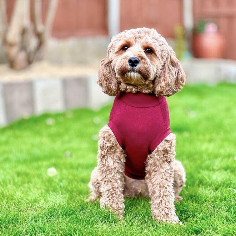 Summer Cotton Cooling Allergy T Shirt Hugo and Ted