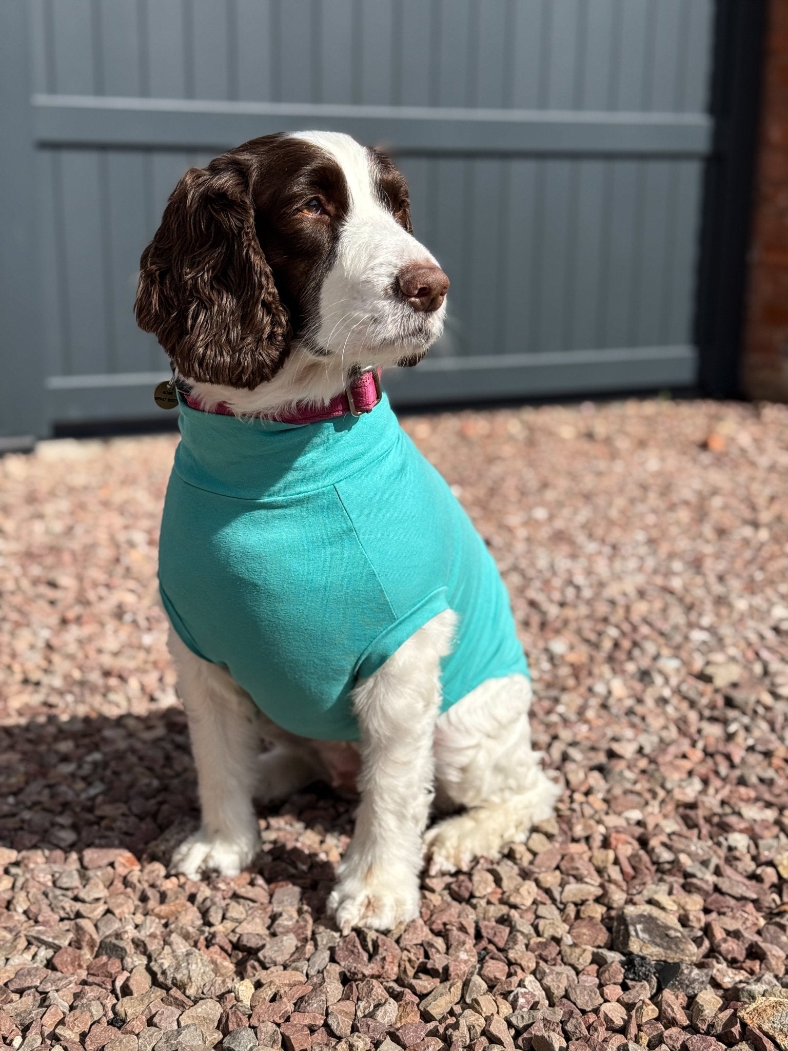 Summer Cotton Cooling/Allergy T-Shirt - Hugo and Ted