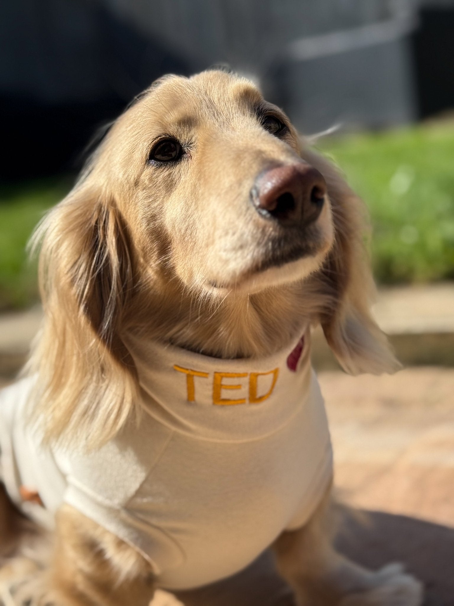 Summer Cotton Cooling/Allergy T-Shirt - Hugo and Ted