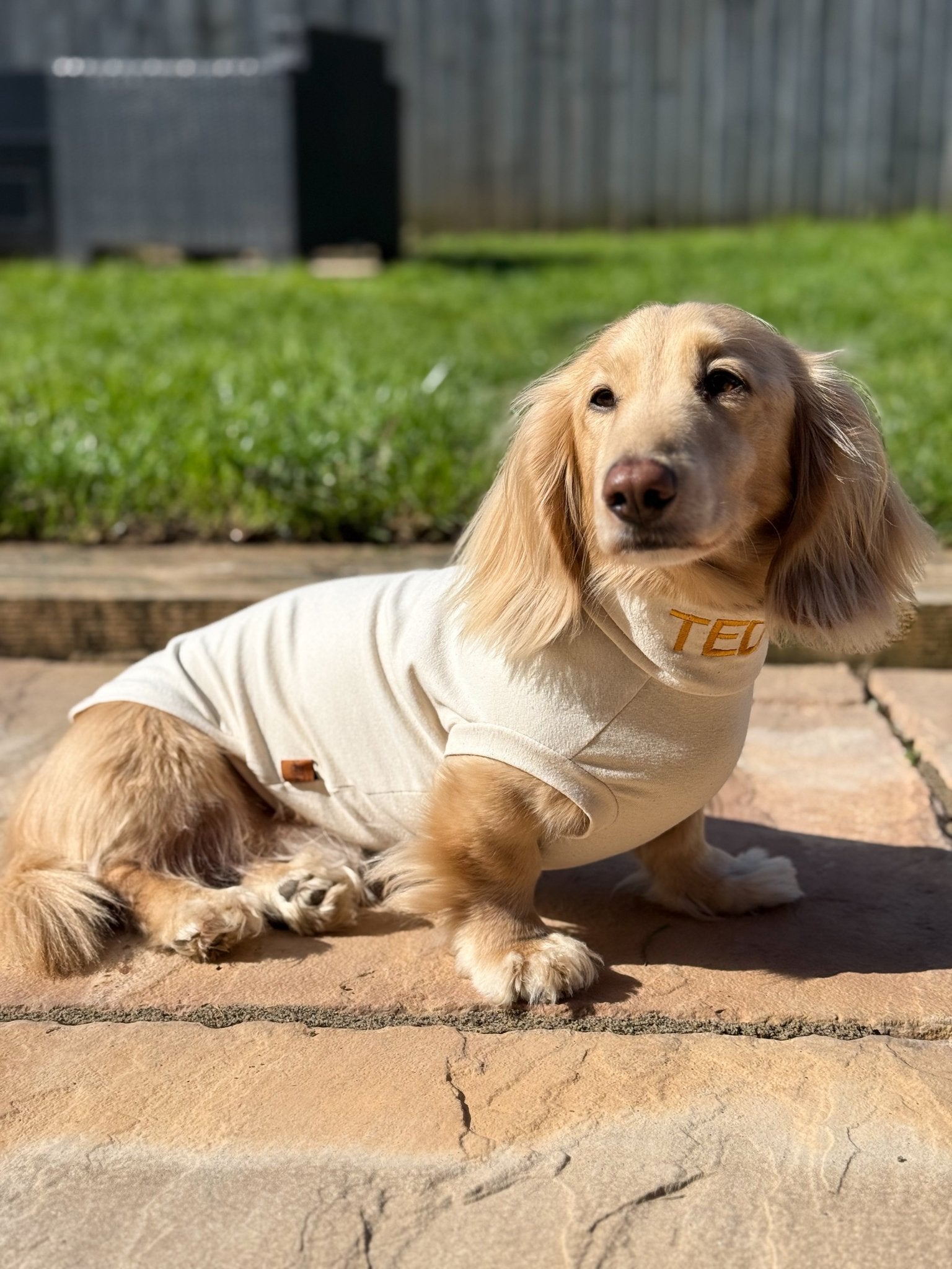 Summer Cotton Cooling/Allergy T-Shirt - Hugo and Ted