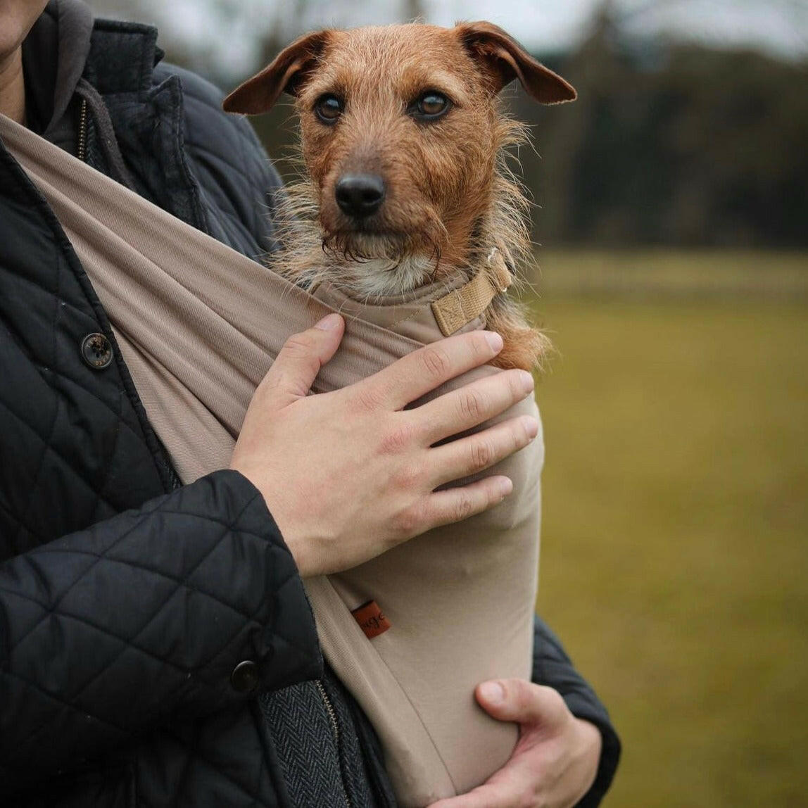 Summer LightWeight Dog Slings Hugo and Ted