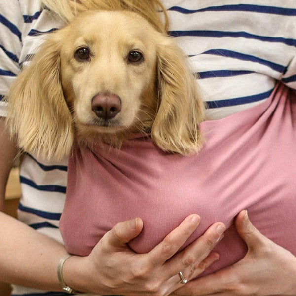 Summer LightWeight Dog Slings Hugo and Ted