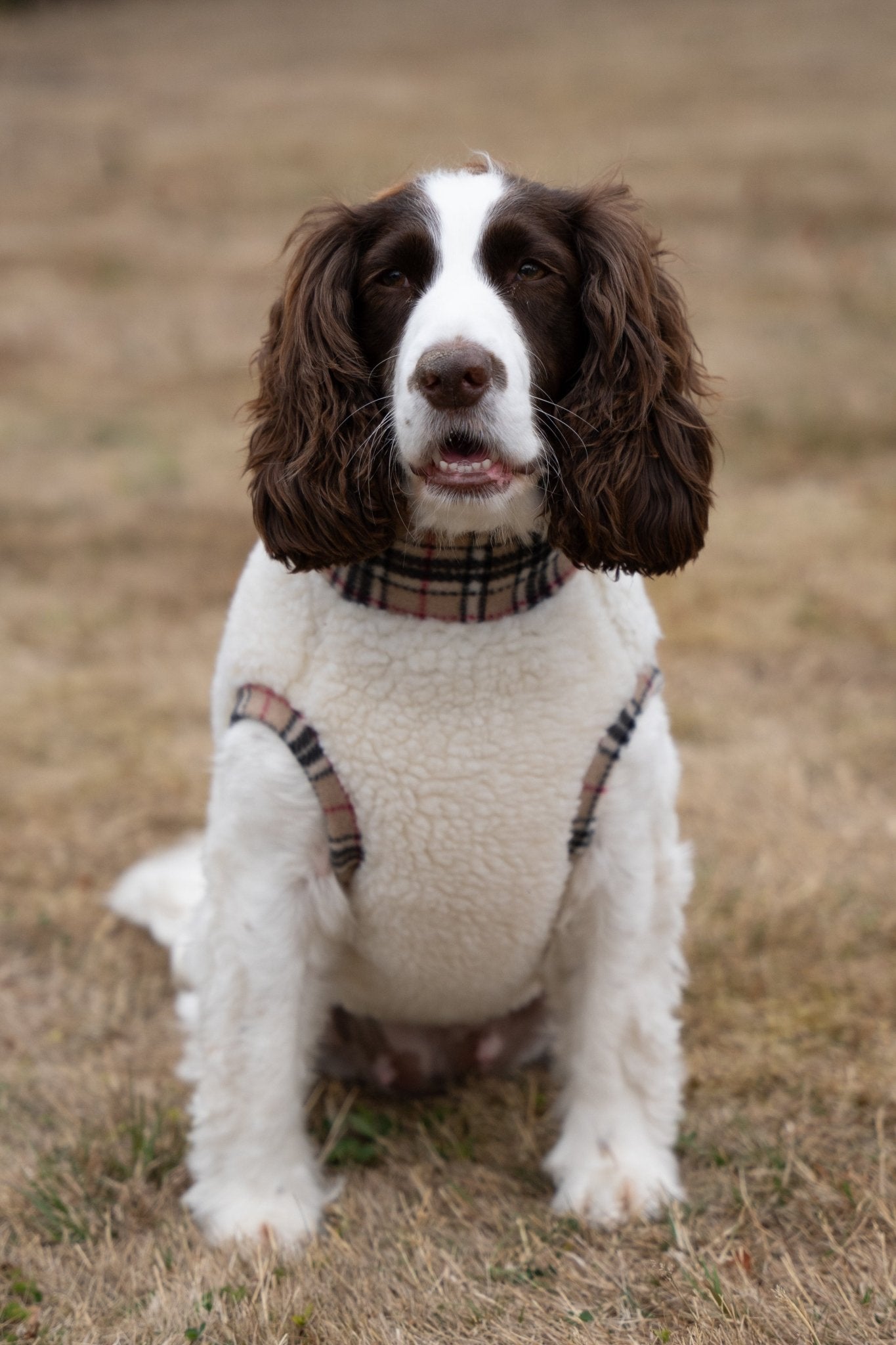 Tartan Sheep Fleece Dog Jumper – Thermal, Rainproof & Machine Washable - Hugo and Ted
