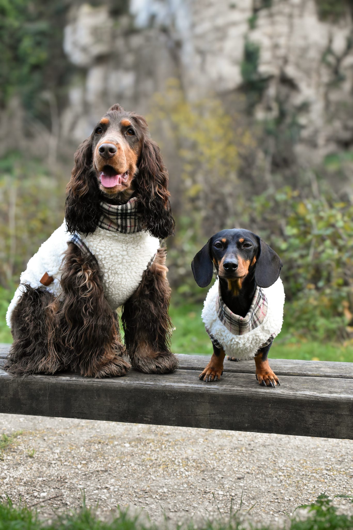 Tartan Sheep Fleece Dog Jumper – Thermal, Rainproof & Machine Washable - Hugo and Ted