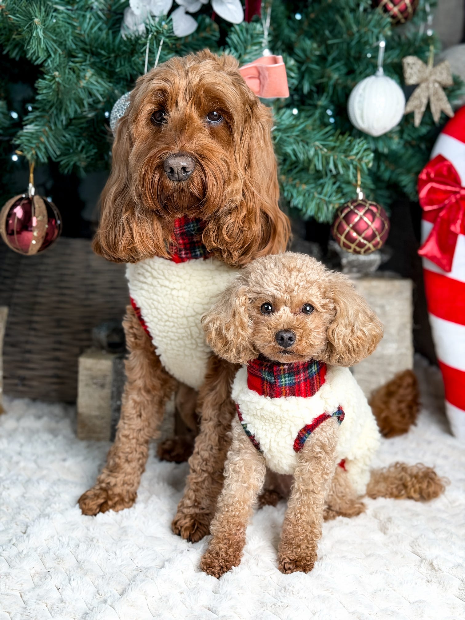 Tartan Sheep Fleece Dog Jumper – Thermal, Rainproof & Machine Washable - Hugo and Ted