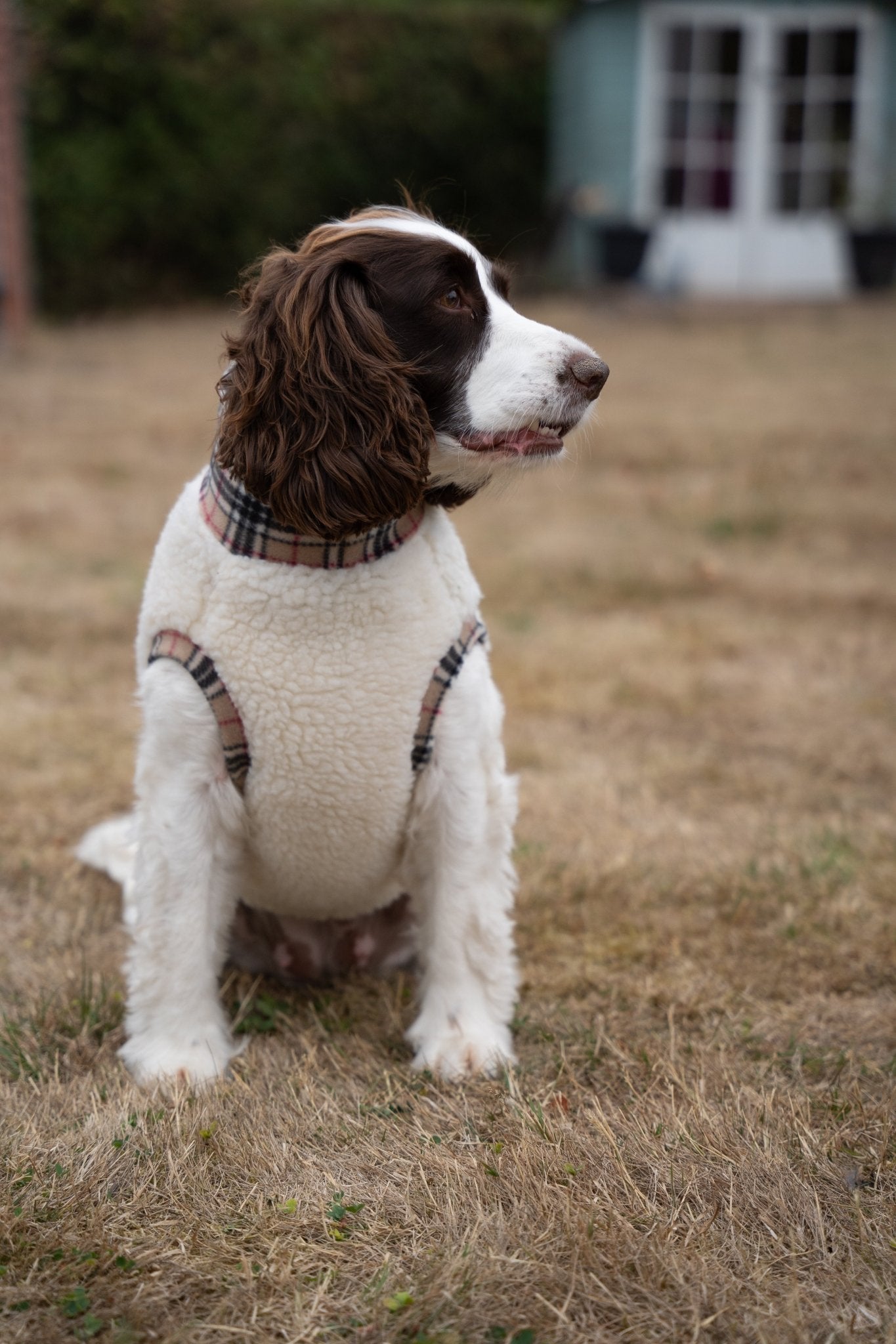 Tartan Sheep Fleece Dog Jumper – Thermal, Rainproof & Machine Washable - Hugo and Ted